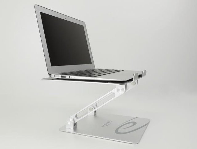Delock Notebook-Ständer neigbar, Farbe: Silber, für 15,6 Zoll (39,6 cm) - Bild 1