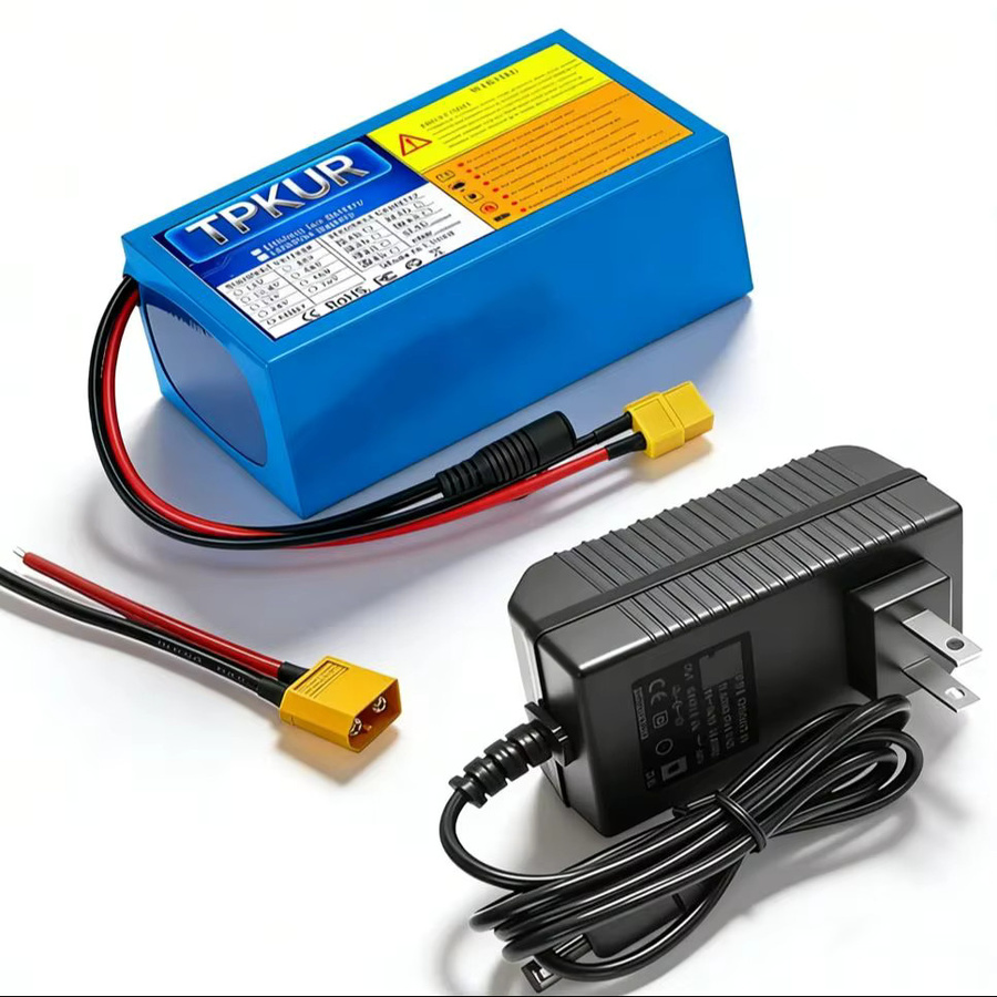 TPKUR Lithium-Ionen-Akku 24V 12Ah 7S4P mit BMS in Blau für elektrische Pendlerfahrzeuge von 350W bis 700W - Bild 5
