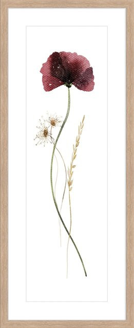 Kunstdruck WILD FLOWERS I von Maremi in Braun und Multicolour mit floralem Motiv - Bild 1
