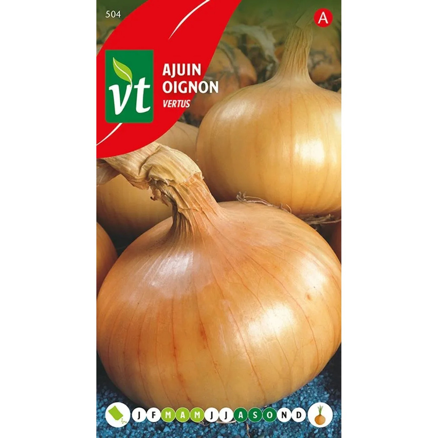 Arborix Zwiebel Vertus Saatgut Würzig 4 g - Bild 2