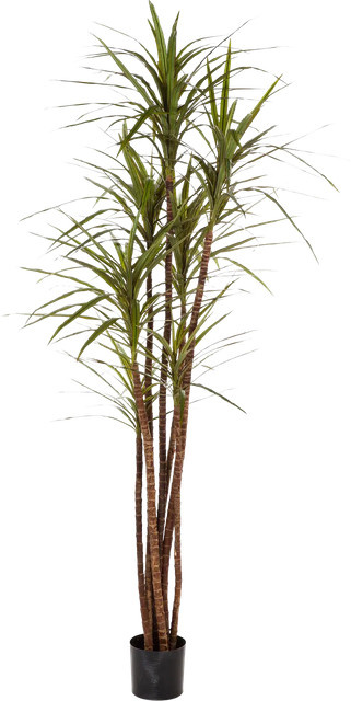 Künstlicher Drachenbaum Noa von Aplanta, Höhe: 120 cm - Bild 1