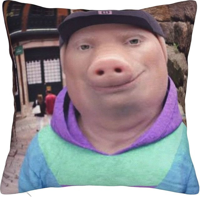 John Pork Kissenbezug von JMG Clothing, quadratische Dekokissenhülle in Multicolour, B/B: 45 x 45 cm - Bild 1