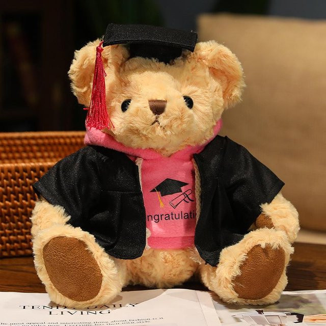 Yiran toy Hoodie Teddybär Abschluss Plüschtier, 26cm, ab 14 Jahren - Bild 1