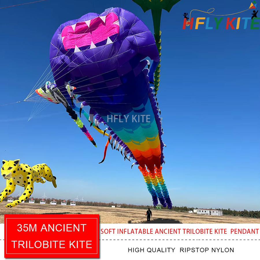 HFLY Trilobit-Drachen, Tierdrachen, Bunt / Mehrfarbig - Bild 2