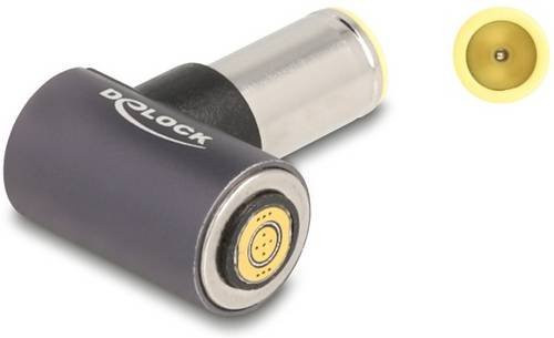 Delock Serieller Adapter mit DC-Hohlstecker und Magnetanschluss in Grau - Bild 1