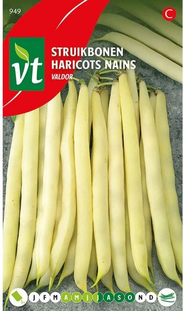 Arborix Buschbohne Valdor Saatgut 50 g - Bild 1
