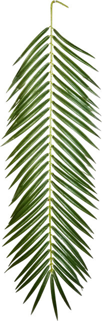 Künstliches Phoenixpalmenblatt Oliwia von Aplanta, Höhe: 88 cm - Bild 1