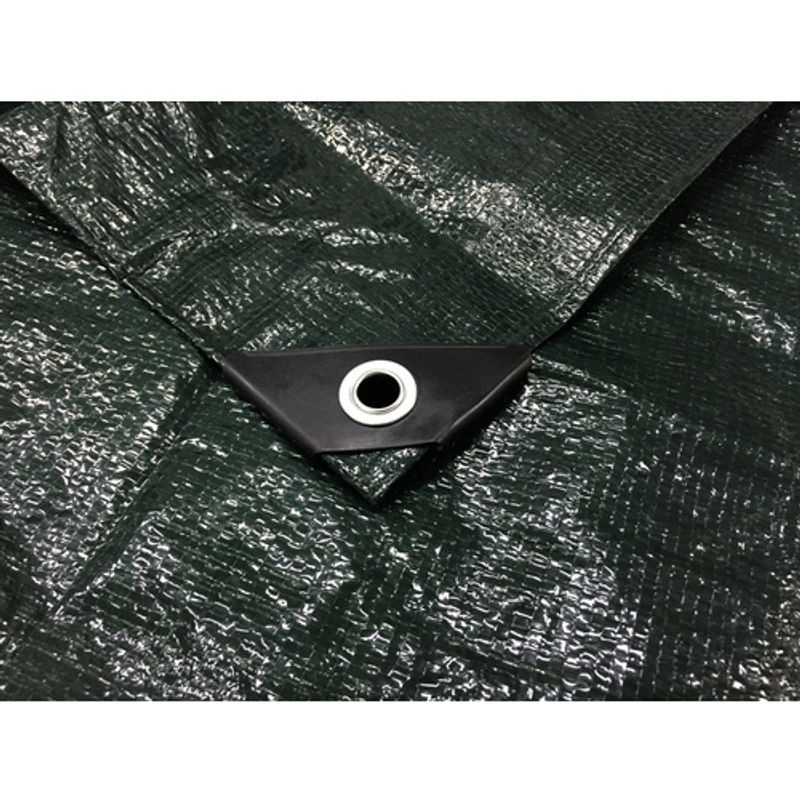 Siena Garden Premium Schutzplane aus Polyethylen, grün, B/L: 600 x 500 cm - Bild 2