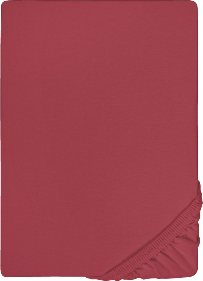 Biberna Spannbettlaken Marc aus Baumwolle Jersey mit Gummizug für Matratzen bis 22 cm Höhe - Bild 1