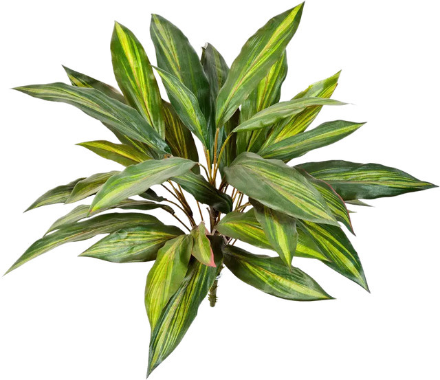 Künstliche Cordyline Luca von Aplanta, grün, Höhe: 48 cm - Bild 1