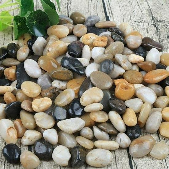 HomeHarmony Bunte Kiessteine für Aquarien, Zimmerpflanzen und die Landschaftsgestaltung, Mehrfarbig - Bild 1