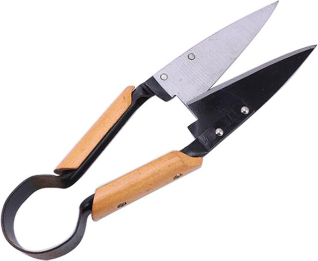 TOTNEND 13-Zoll Ergonomische Gartenschere für Zwiebeln, Schafe und Wollpflege - Bild 1