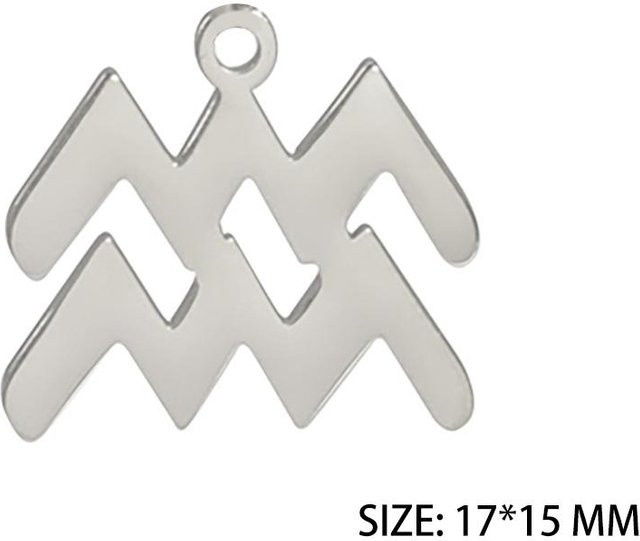 YULIN Anhänger Edelstahl, Silber, Tierkreiszeichen, Unisex - Bild 1