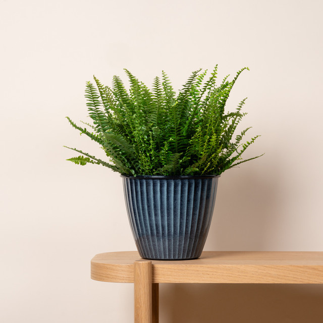 BLUME2000 Übertopf aus Zink und Emaille in Blau, Durchmesser: 20 cm - Bild 1