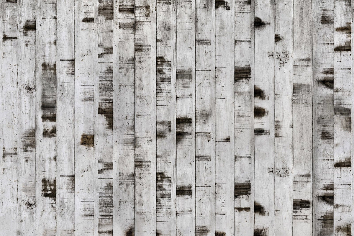 Rebel Walls Mural Metal Birch Wandtattoo in Grau mit botanischem Design - Bild 4