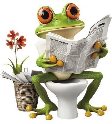 Wasserdichter Frosch Toilettenaufkleber von Hongbayi in Grau und Grün als abnehmbarer Tieraufkleber für Badezimmer, WC, Wand oder Tür - Bild 1