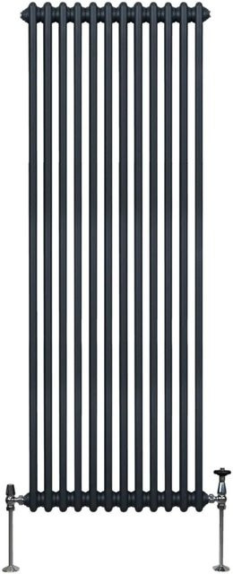 Monstershop Traditioneller 2 Spalten Heizkörper aus Stahl in Anthrazitgrau, Höhe: 180,0 cm, Breite: 56,2 cm - Bild 1