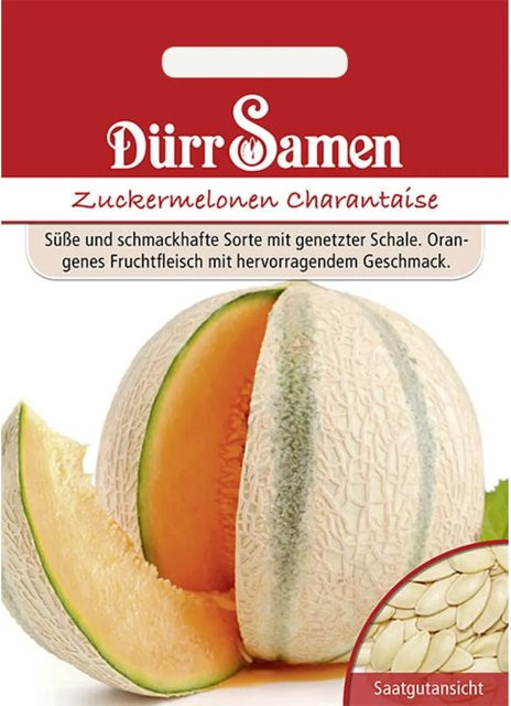 Dürr Zuckermelone Charantaise Saatgut - Bild 1