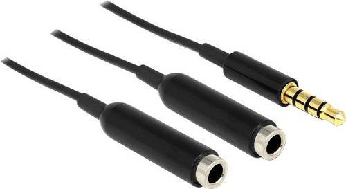 Delock 65575 Audio Y-Kabel Schwarz mit 1x 3,5 mm Klinkenstecker und 2x 3,5 mm Klinkenbuchse, Länge: 25 cm - Bild 1