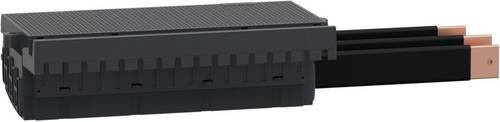 Schneider Electric LVS04412 Einspeiseblock in Schwarz - Bild 1