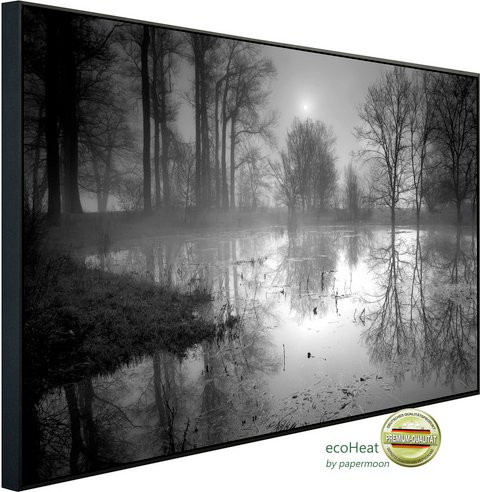papermoon Infrarotheizung EcoHeat See im Wald in Schwarz und Weiss mit Matt-Effekt und App-Steuerung - Bild 1