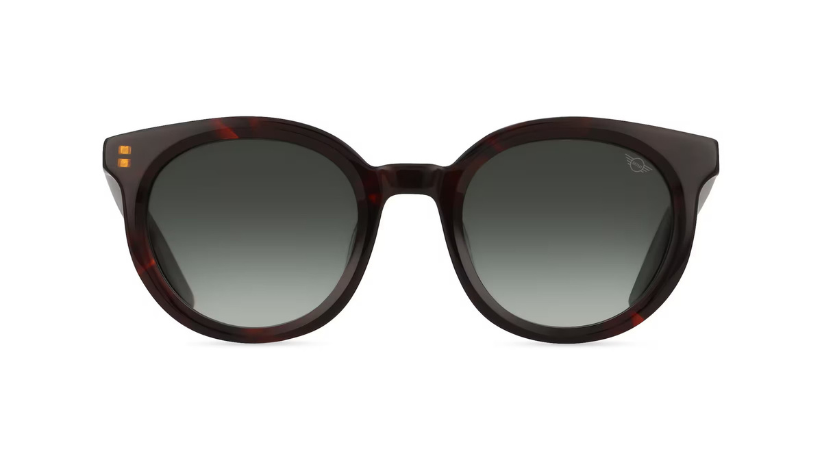 MINI EYEWEAR 746020 Sonnenbrille Vollrand, Panto, Kunststoff, Unisex, brown green - Bild 1