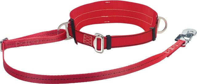 Conacord Haltegurt aus Polyester in Rot - Bild 1
