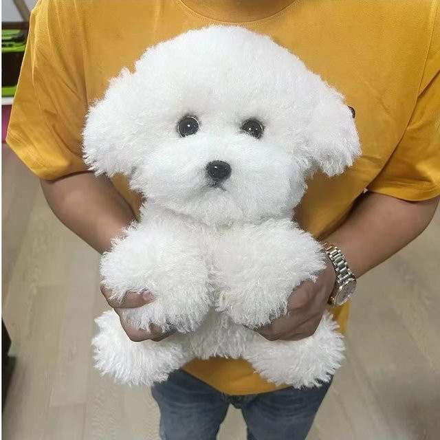 Kidsly Bichon Hund Plüsch Spielzeug, Weiß, ab 14 Jahren - Bild 1