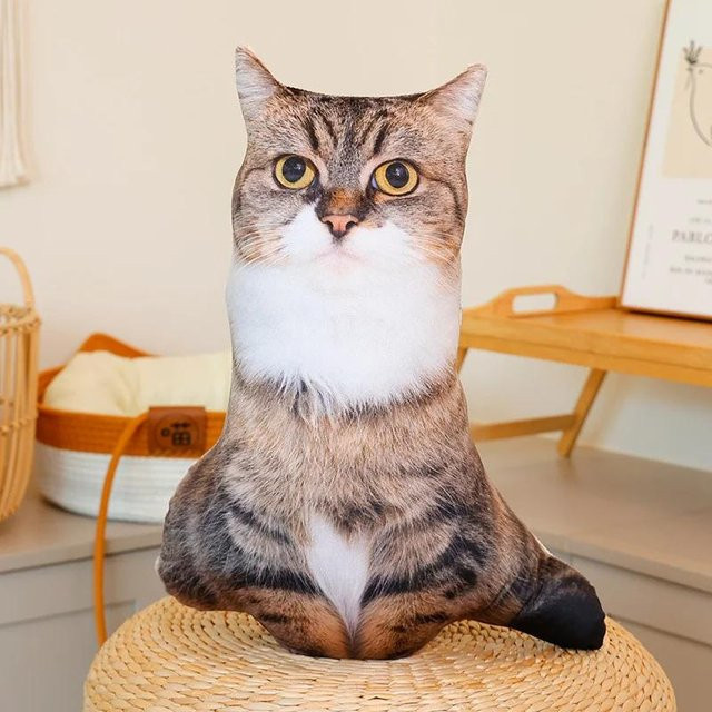 Binchi Fitness 3D Katze Plüschtier, Stofftier, ab 14 Jahren - Bild 1