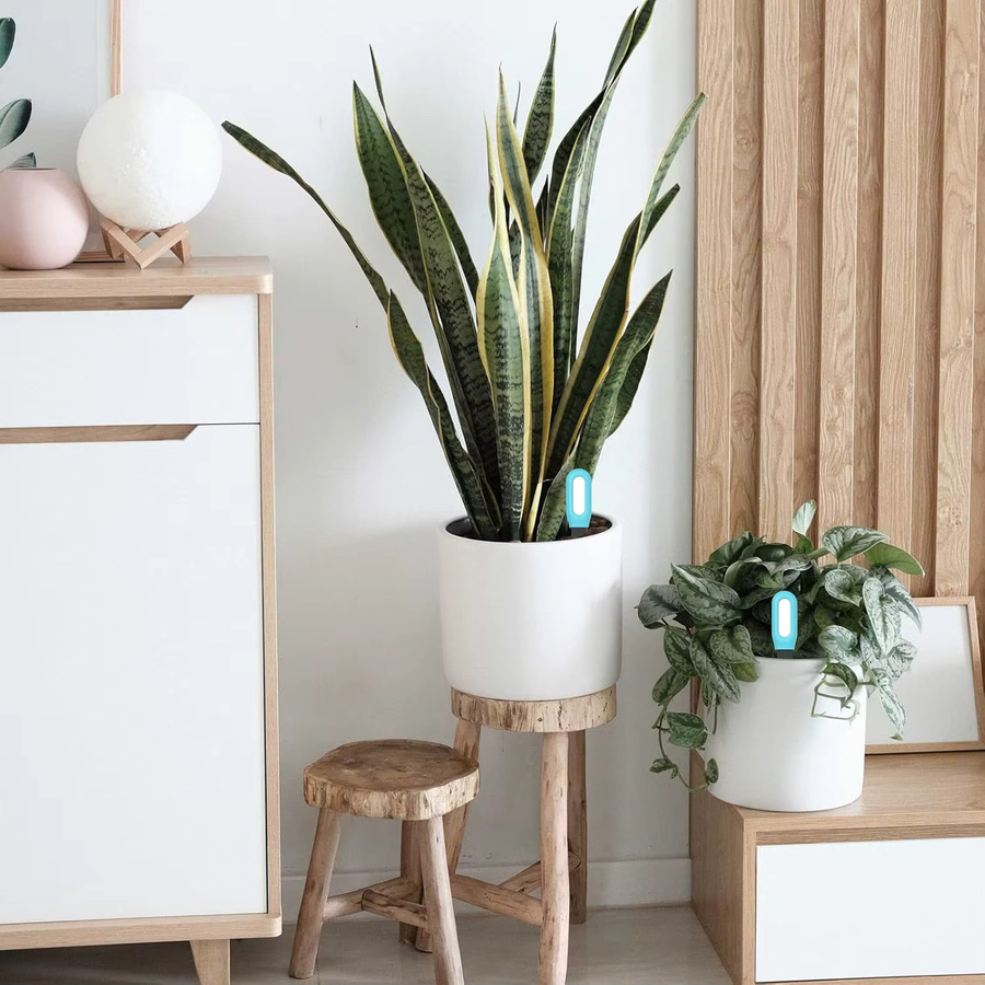 Tuya Intelligenter Bodentester mit Bluetooth und Zigbee zur Echtzeit-Überwachung von Feuchtigkeit und Temperatur für deinen Garten und deine Zimmerpflanzen - Bild 4