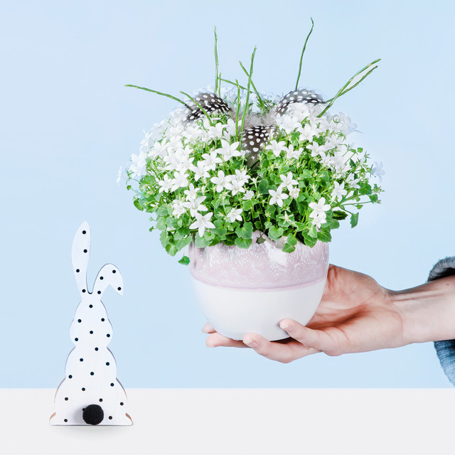 BLUME2000 Campanula Glockenblume mit Holz-Hase Schlappohr in Weiß und Grün - Bild 1