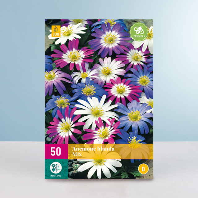 Balkan-Windröschen Mix von BLUME2000 mit 50 Knollen - Bild 1