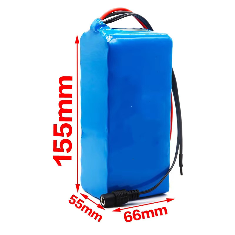 Reoaoone 12 V 50000 mAh Lithium-Ionen-Akkupack mit BMS und 12,6 V Ladegerät in Blau - Bild 3