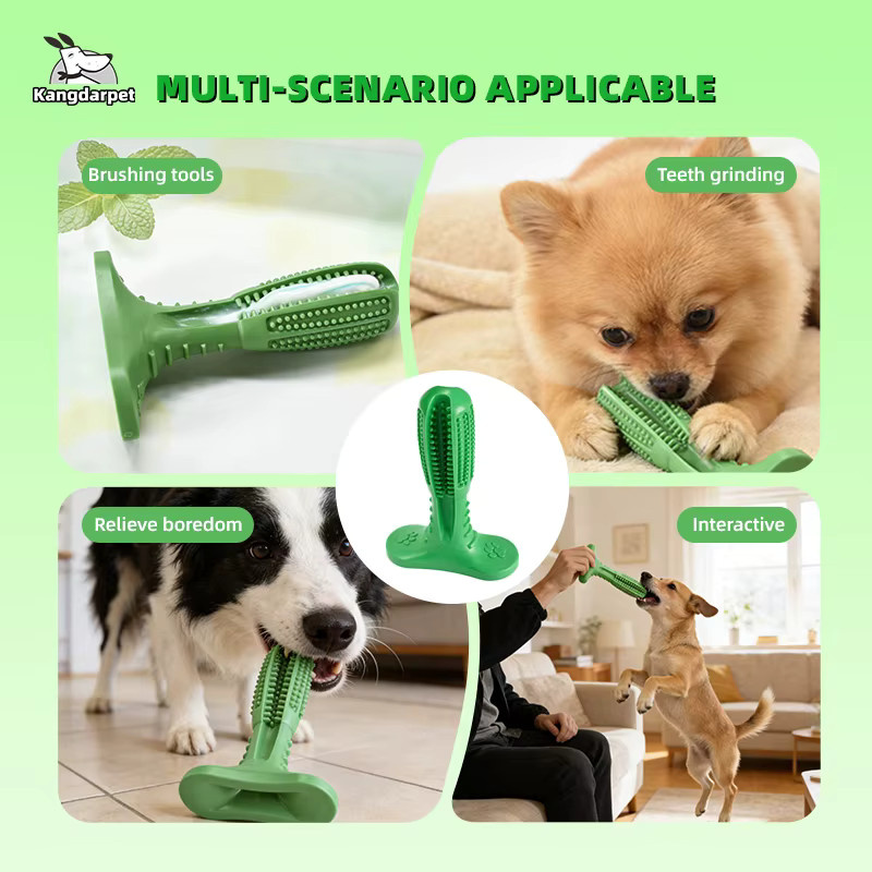 Kangdarpet Hundespielzeug, Zahnbürsten-Quietschspielzeug, Zahnreinigungszubehör - Bild 4