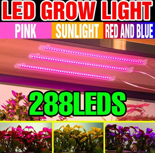 CanLing USB-LED-Wachstumslicht mit Vollspektrum und Timer für den Anbau von Zimmerpflanzen, Gemüse und Obst, 5 V - Bild 1