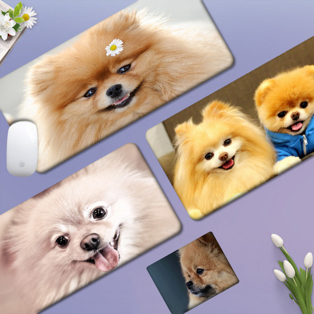 Großes XXL Gaming Mousepad mit süßem Pomeranian Hund Motiv für Gamer und Studenten, Mehrfarbig - Bild 1