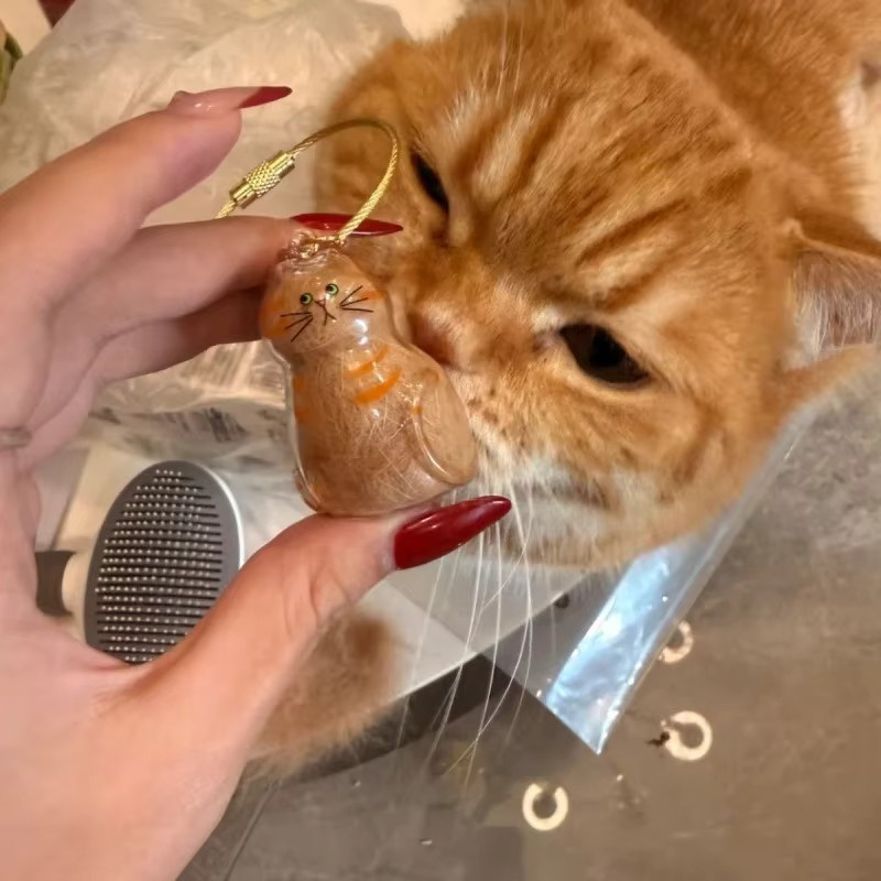 Schlüsselanhänger Ingwer Katze, Anhänger - Bild 3