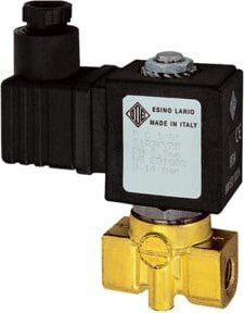 Riegler Magnetventil 2/2-MV, MS, NO, direktgesteuert, 230-240V, 16VA, FKM, G1/4, PN0-4bar, multicolour - Bild 1