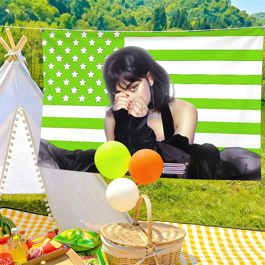 Charli XCX Flagge von Warner Bros. als Wandkunst und Dekoration für Party, Club oder Outdoor, B/H: 60 x 40 cm - Bild 3