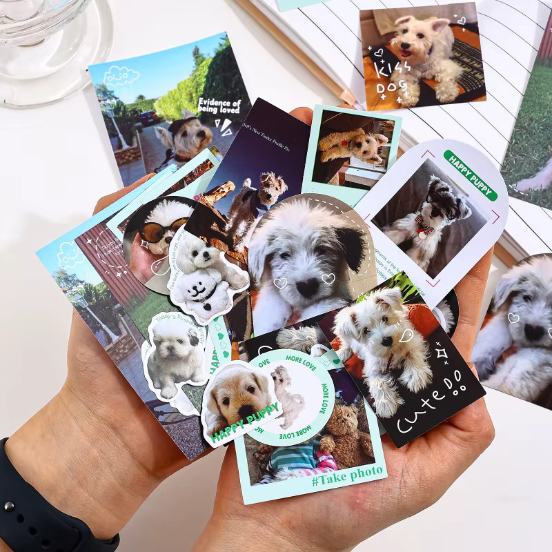 50 bunte Katzen- und Hundeaufkleber mit verschiedenen Mustern zur Dekoration von Tagebüchern und Schreibwaren - Bild 3