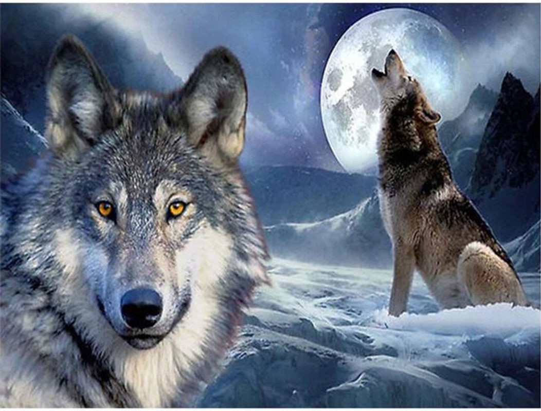 FIYO Diamond Painting 5D Wolf Mosaik Set mit Tierprint, mehrfarbig, B/H: 30 x 20 cm - Bild 1