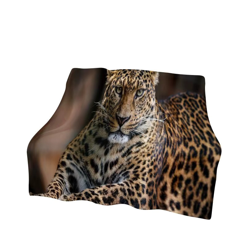 Faviora Flanelldecke mit Leoparden-Design, weiche und warme Tier-Überwurfdecke in Multicolour, B/T: 90 x 75 cm - Bild 2