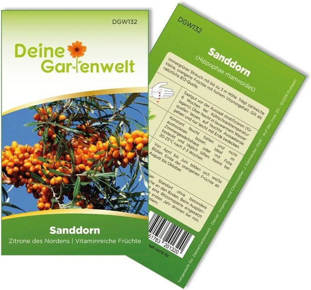 Deine Gartenwelt Sanddorn Samen - Bild 1