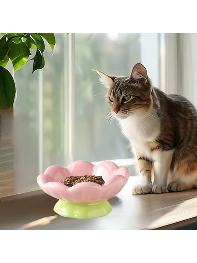 Kesoto Futternapf für Haustiere in Blumenform mit breiter und flacher Öffnung für Welpen - Bild 3