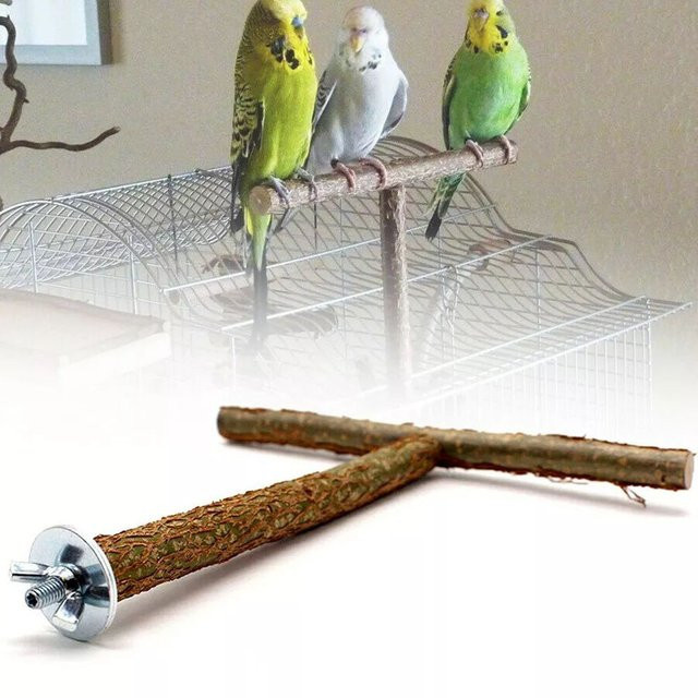 Vogel's Papagei Käfig Spielzeug Training, Naturholz Stand Spielzeug - Bild 1