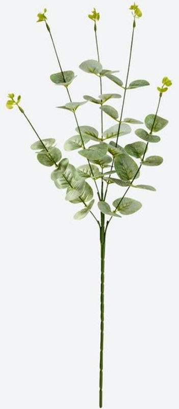 Künstlicher Eukalyptus-Zweig von NKD in Grün, Höhe: 65 cm - Bild 1