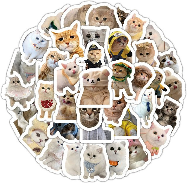 Realistisches Kitty-Stickerbuch mit 103 Stück im Foto-Stil für deine Dekoration, Multicolor, von Murah & Cantik AnimeWorlds Store - Bild 1