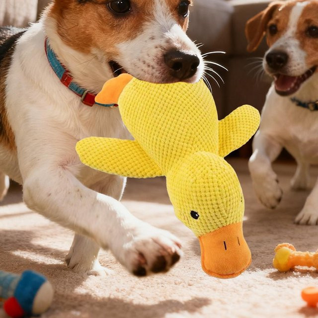 Beruhigendes Entenspielzeug für Hunde, quietschend, weich - Bild 1