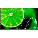 NEC MultiSync E498 Essential Large Format Display, 49 Zoll 4K UHD mit IPS-Panel, Schwarz - Bild 2