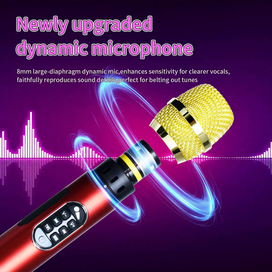 P2MAX Tragbares 40 W Megaphon-Mikrofon All-in-One Lautsprecher für Karaoke und Partys in Schwarz - Bild 1